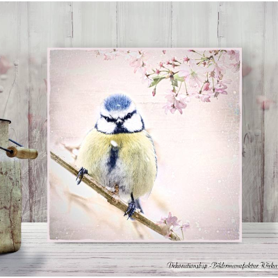 BLAUMEISE Wandbild auf Leinwandwand Holz Kunstdruck Landhausstil Tierbild Vogel Shabby Chic Vintage Style online kaufen