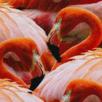 Deko Druck Leinenoptik Tiffi  Flamingos, koralle (1m /11,00€) Bild 2