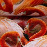Deko Druck Leinenoptik Tiffi  Flamingos, koralle (1m /11,00€) Bild 3
