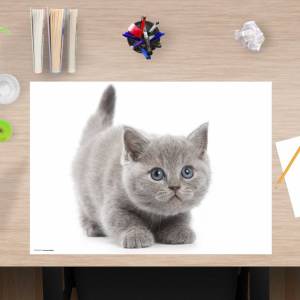 Schreibtischunterlage – Süße graue Katze – 60 x 40 cm – Schreibunterlage für Kinder aus Premium Vinyl – Made in Germany Bild 1