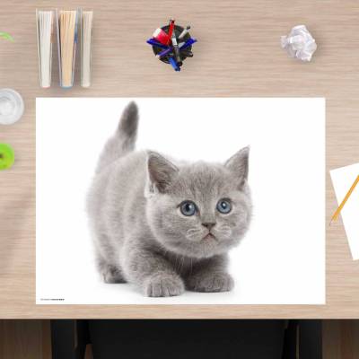 Schreibtischunterlage für Kinder – Süße graue Katze – 60 x 40 cm – aus Premium Vinyl - Made in Germany!