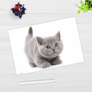 Schreibtischunterlage – Süße graue Katze – 60 x 40 cm – Schreibunterlage für Kinder aus Premium Vinyl – Made in Germany Bild 3