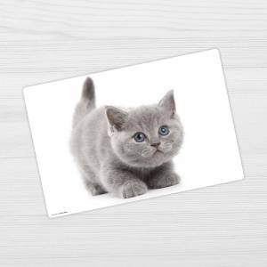 Schreibtischunterlage – Süße graue Katze – 60 x 40 cm – Schreibunterlage für Kinder aus Premium Vinyl – Made in Germany Bild 4