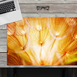 Schreibtischunterlage –  Pusteblume im Sonnenglanz – 60 x 40 cm – Schreibunterlage aus erstklassigem Premium Vinyl – Mad Bild 1