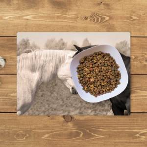 Napfunterlage | Futtermatte „Liebende Pferde“ aus Premium Vinyl - 44x32 cm - rutschhemmend, abwaschbar, reißfest - Made Bild 1