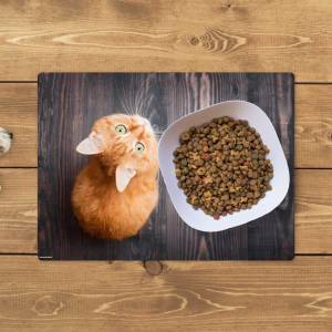 Napfunterlage | Futtermatte „Orange Katze“ aus Premium Vinyl - 44x32 cm - rutschhemmend, abwaschbar, reißfest - Made in Bild 1