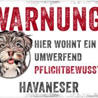 Hundeschild WARNUNG! mit Havaneser, wetterbeständiges Warnschild Bild 1