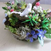 Frühling Ostern kleine Tischdeko - fröhliches Vogelgezwischter - Geschenkidee auch zum Muttertag Bild 2