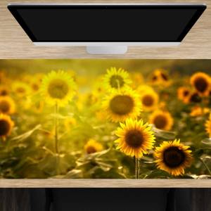 Schreibtischunterlage XXL –Sonnenblumenfeld– 100 x 50 cm – Schreibunterlage aus erstklassigem Premium Vinyl – Made in Ge Bild 1