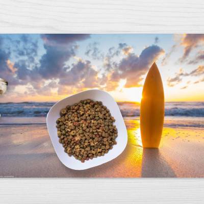Napfunterlage | Futtermatte „Surfbrett am Strand“ aus Premium Vinyl - 60x40 cm - rutschhemmend, abwaschbar, reißfest - M
