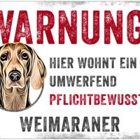 Hundeschild WARNUNG! mit Weimaraner, wetterbeständiges Warnschild Bild 1