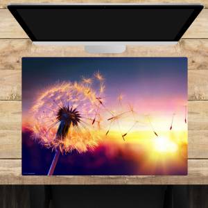 Schreibtischunterlage – Pusteblume im Sonnenlicht – 70 x 50 cm – Schreibunterlage aus erstklassigem Premium Vinyl – Made Bild 1