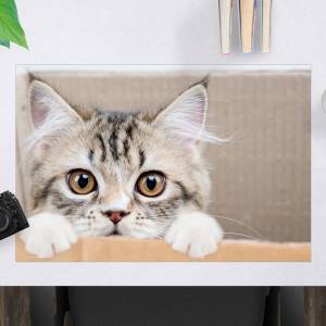 Schreibtischunterlage – Maine Coon Kätzchen – 60 x 40 cm – Schreibunterlage für Kinder aus erstklassigem Premium Vinyl – Bild 1