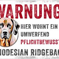 Hundeschild WARNUNG! mit Rhodesian Ridgeback, wetterbeständiges Warnschild Bild 1