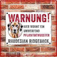 Hundeschild WARNUNG! mit Rhodesian Ridgeback, wetterbeständiges Warnschild Bild 2