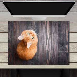 Schreibtischunterlage – Orange Katze – 70 x 50 cm – Schreibunterlage aus erstklassigem Premium Vinyl – Made in Germany Bild 1