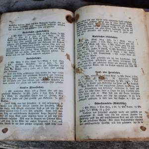 antikes Kochbuch "Hilfsbuch für Koch- und Haushaltungsschulen" Ida Merkel Keyßnersche Hofbuchdruckerei Meiningen Bild 6