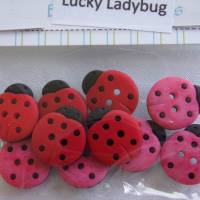 Buttons Galore Knöpfe   Marienkäfer    (1 Pck.)    Lucky Ladybug Bild 1