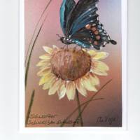 Grußkarte,  Naturmalerei / Schmetterling-  " schwarzer Schwalbenschwanz ", handgemalt