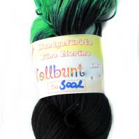 100g WILDERNDE handgefärbte softe Wolle Tris3002 Bild 2