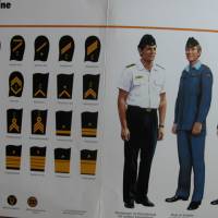 Uniformen und Dienstgradabzeichen der Bundeswehr - 30 Jahre Bundeswehr Bild 5