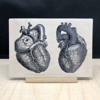Holzpostkarte anatomisches Herz Bild 1