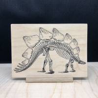 Holzpostkarte Stegosaurus Skelett Bild 1