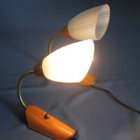 Paar Wandlampen Tütenlampen mit Schwanenhals 50er Jahre Bild 2
