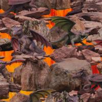 Jersey mit Drachen Dragon Vulkan 50 x 150 cm Nähen Stoff Digitaldruck Bild 1