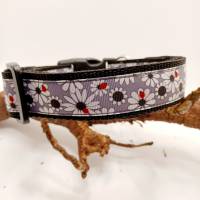 Halsband Hundehalsband Gr. 35-45 cm verstellbar ungepolstert od. gepolstert Muster Daisy Maikäfer Bild 4