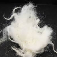 100 Gramm gewaschene Wolle von der weißen Skudde, Spinnen, Filzen, Basteln Bild 3