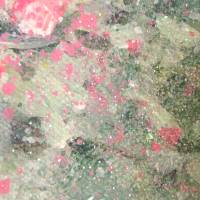 DREAMY WILDROSES  - romantisches Blumenbild mit Glitter im Shabby-Chic-Look 60cmx60cm Bild 7