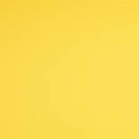 Jersey Baumwolljersey UNI Einfarbig gelb  Oeko-Tex Standard 100 (1m/12,-€) Bild 2