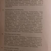 Mönche/Bürger Minnesänger - Musik in der Gesellschaft des europäischen Mittelalters Bild 4