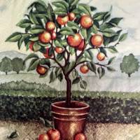 Serviette Orangenbaum  (35)  -1 einzelne Serviette Bild 2