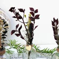 Tischdeko Trockenblumen in klaren Glasvasen 3er Set Stückpreis 7,95 Euro Bild 6