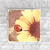 COCCINELLA Wanddeko Bild Sonnenblume Landhausstil Kunstdruck Leinwand Holzdruck ShabbyChic VintageStyle günstig kaufen Bild 1