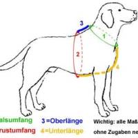 Hundegeschirr , Y–Geschirr “Grau Melange-Türkis” Bild 3