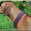 Halsband PÜNKTCHEN mit Zugstopp für deinen Hund, Hundehalsband in verschiedene Farben Bild 2