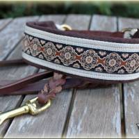 Halsband MEDIVAL mit Zugstopp für deinen Hund, Rhodesian Ridgeback, Hundehalsband, Martingale Bild 8