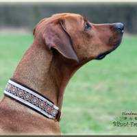 Halsband MEDIVAL mit Zugstopp für deinen Hund, Rhodesian Ridgeback, Hundehalsband, Martingale Bild 9