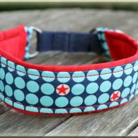 Halsband PAWs oder DOTs mit Zugstopp für deinen Hund Hundehalsband Martingale rot türkis oder braun Bild 2