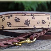 Halsband PAWs oder DOTs mit Zugstopp für deinen Hund Hundehalsband Martingale rot türkis oder braun Bild 4