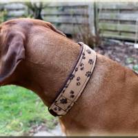 Halsband PAWs oder DOTs mit Zugstopp für deinen Hund Hundehalsband Martingale rot türkis oder braun Bild 6