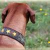 Halsband Camouflage Zugstopp mit individueller Bestickung, Hund, Hundehalsband in Flecktarn, Martingale Bild 5