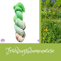 High Twist "Frühlingsblumenwiese", handgefärbte Sockenwolle/Tuchwolle, 4fädig, 100 g Strang Bild 1