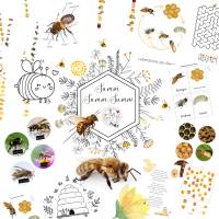 Toolkit: Bienen Bild 1