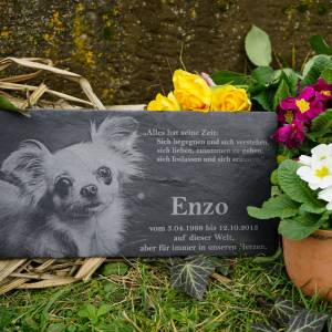 30 x 15 cm Gedenktafel für Tiere Schiefertafel inkl. Gravur als Gedenkstein personalisiert mit Foto und Wunschtext Bild 3