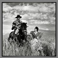 Kunstdruck Junge Frau, Gaucho und Pferd im Weizenfeld 1940 in Chile Landschaft schwarz-weiss Fotografie  Vintage Bilder Bild 3