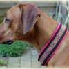 Halsband ORIENTAL mit Zugstopp für deinen Hund, Hundehalsband in verschiedene Farben Bild 2